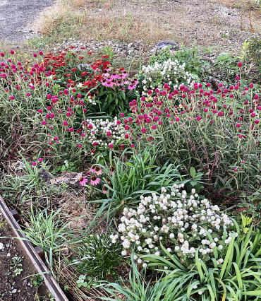 野菜直売所 福井市 香花1