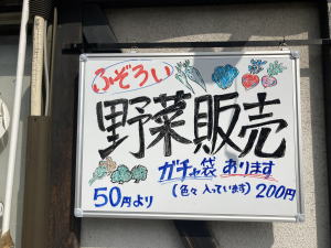 野菜ガチャ袋４　福井市　香花