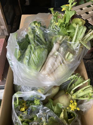 野菜ガチャ袋　２００円　福井市　香花